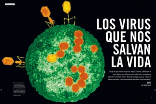 Páginas de la revista con el artículo «Los virus que nos salvan»