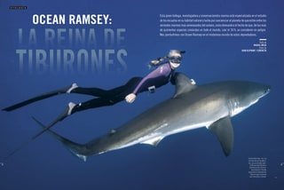 Páginas de la revista con el artículo «La reina de los tiburones blancos»